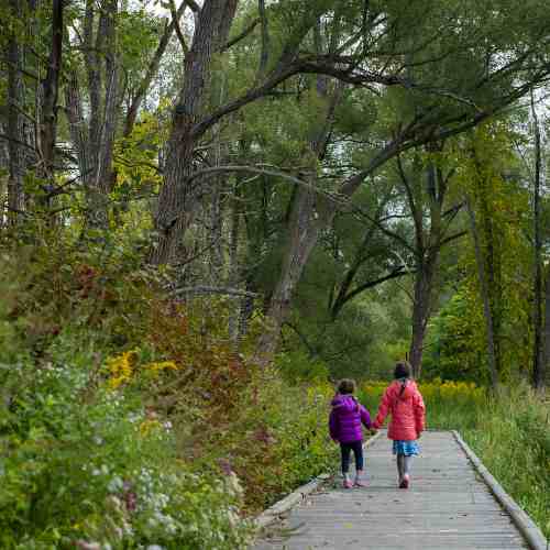 Icon presentation for June: Connect With Nature